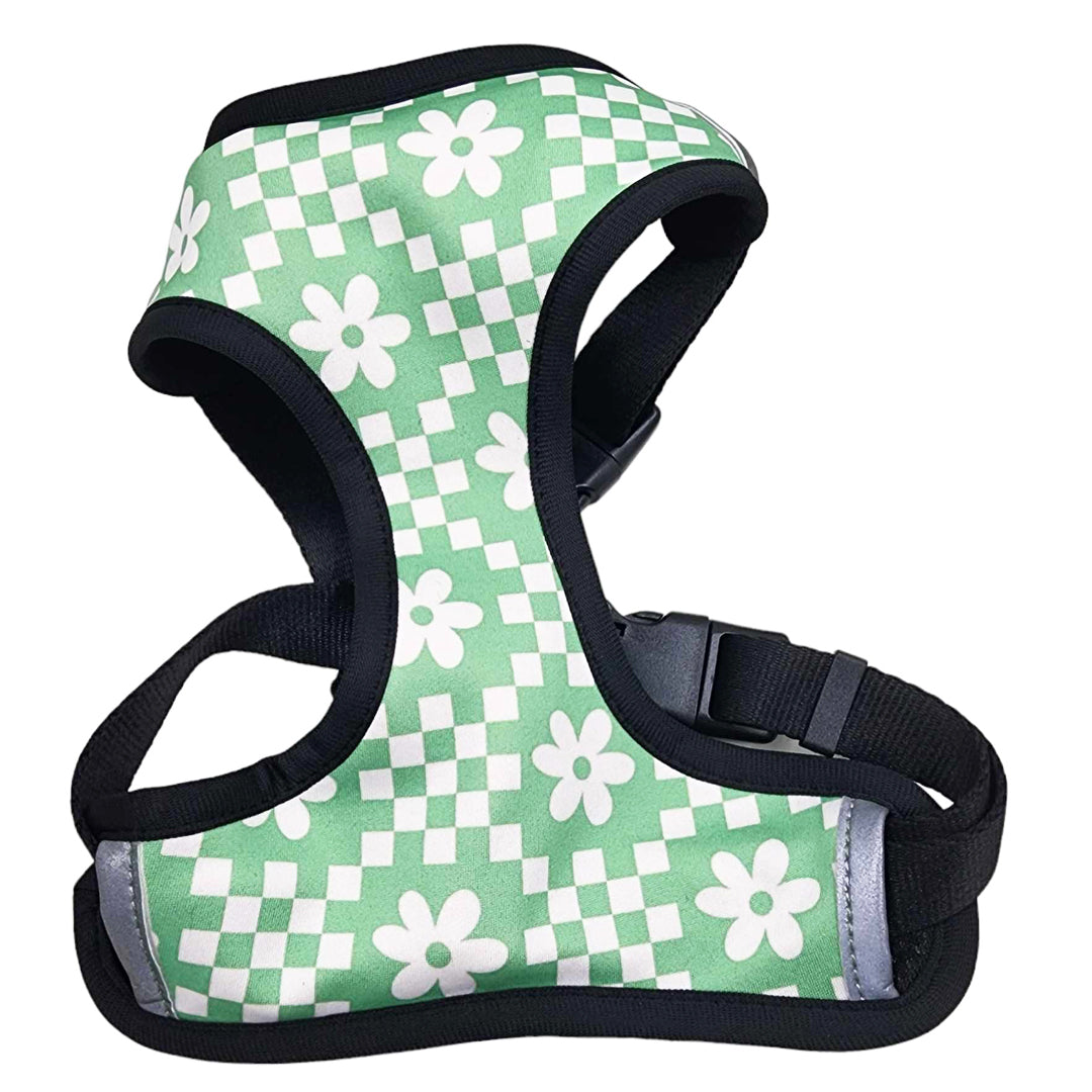 Checkered dog clearance harness