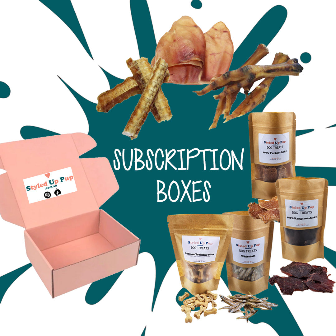 Dog treat subscription clearance box