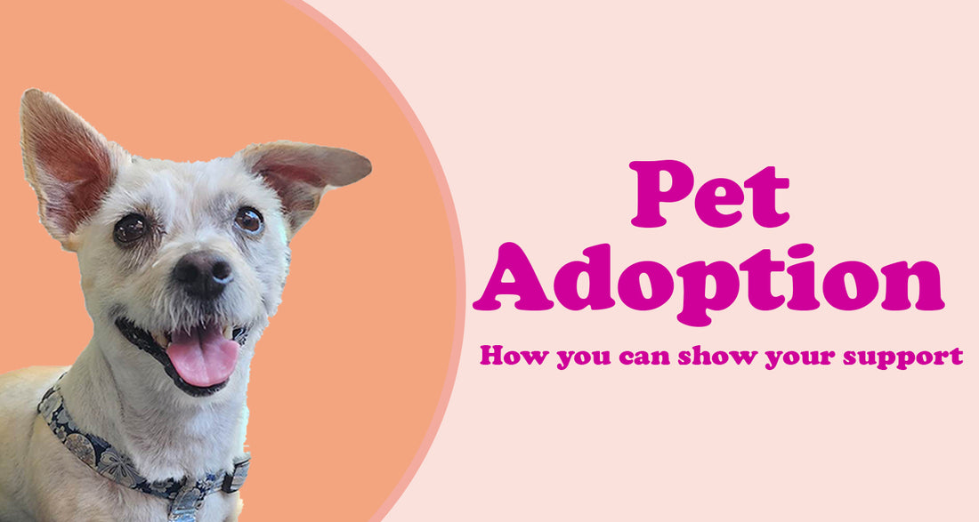 Pet Adoption and how you can show your support