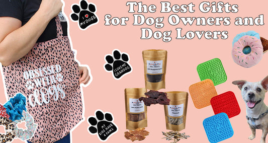 Dog Lover Gifts Blog, What gifts to buy your dog? Gift Ideas, Pet Accessories