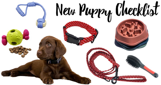 New puppy checklist top 10 items to buy for your new puppy dog toys dog leash dog collar 