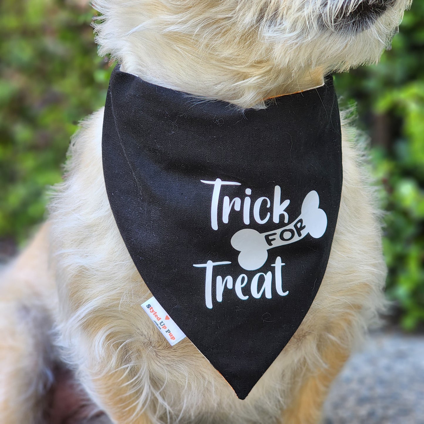 Halloween Dog Bandana (Over-The-Collar) - Trick for Treat (Reversible)