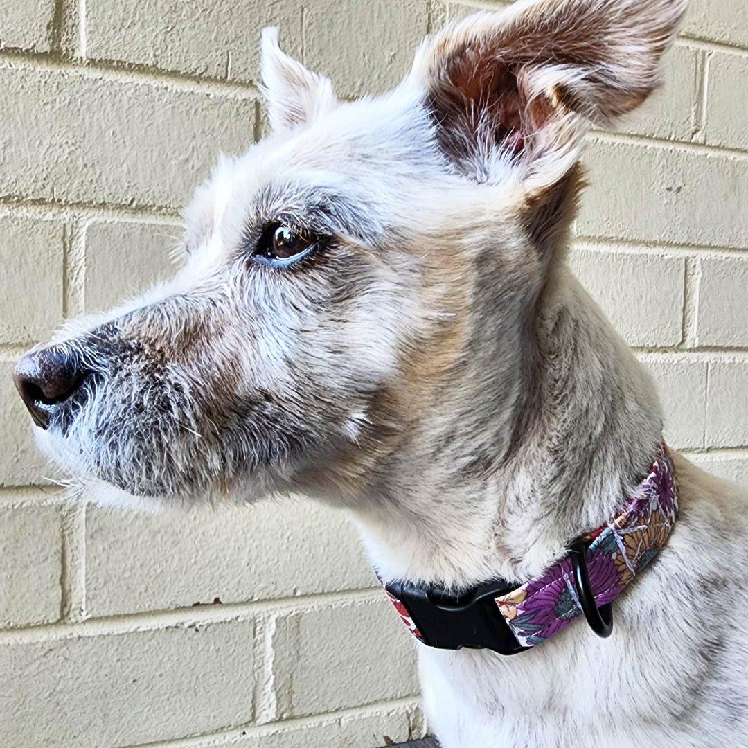 Autumn's Cottage Floral Dog Collar - handmade Dog Collar from Styled Up Pup - Shop now at Styled Up Pup 