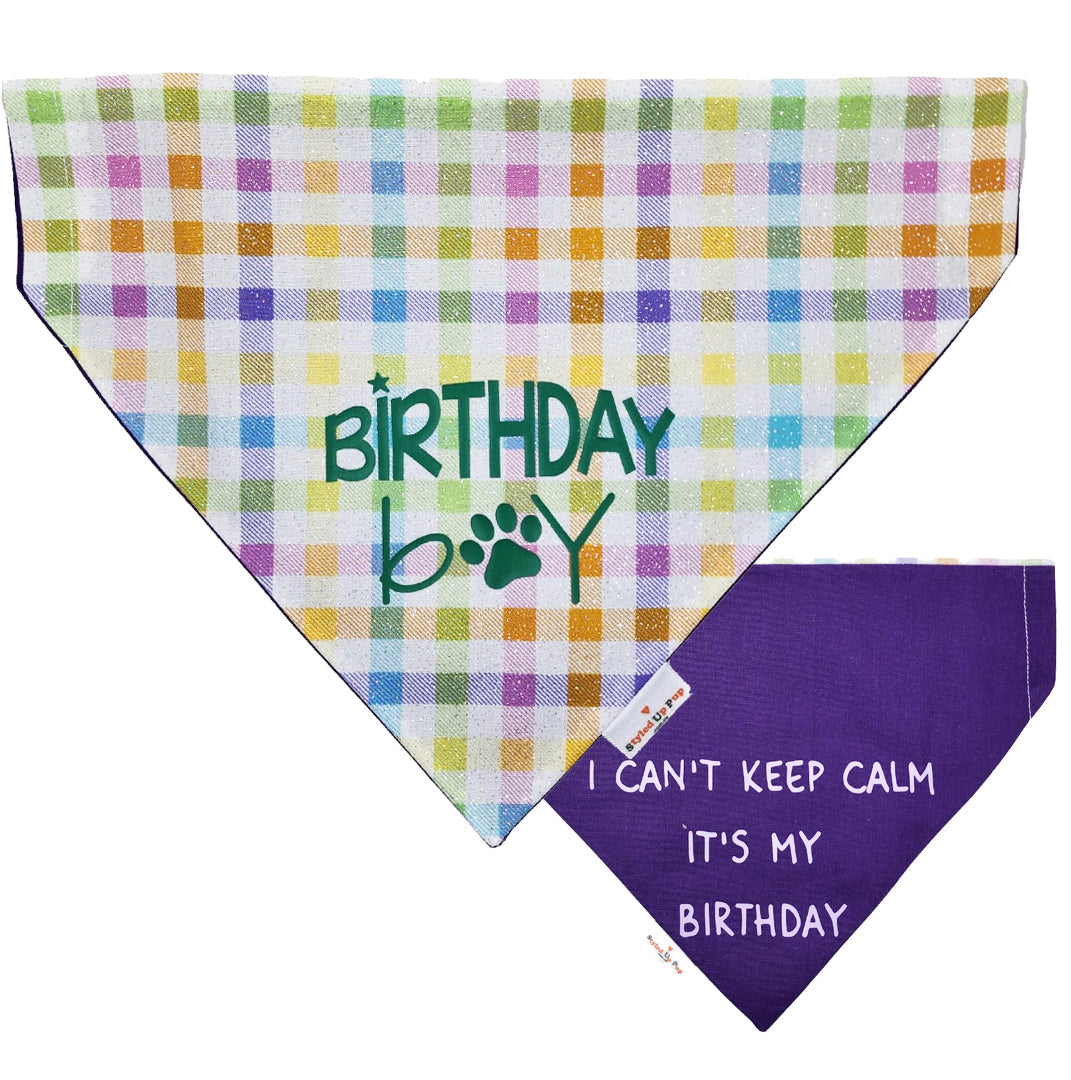 Barkday Dog Birthday Box - handmade  from Styled Up Pup  - Shop now at Styled Up Pup 