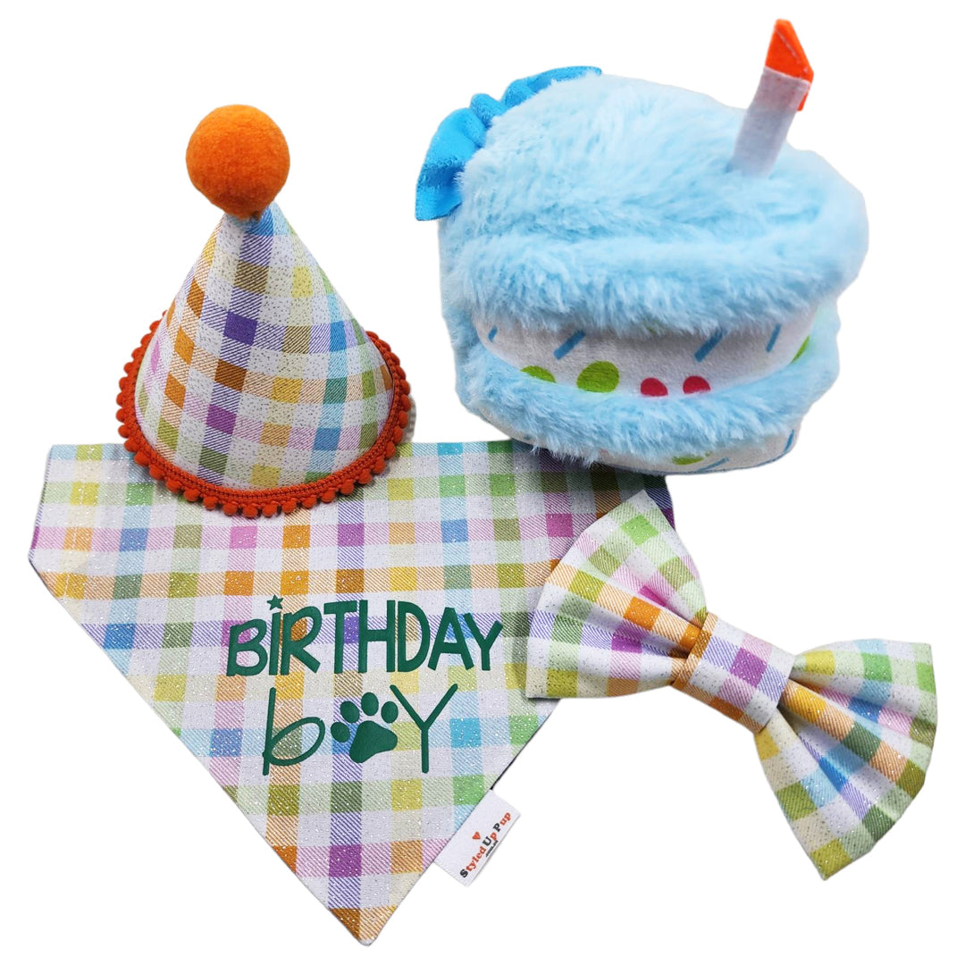 Barkday Dog Birthday Box - handmade  from Styled Up Pup  - Shop now at Styled Up Pup 