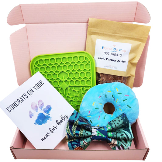 Dog Gift Box - Boy - handmade Gift Box from Styled Up Pup - Shop now at Styled Up Pup 