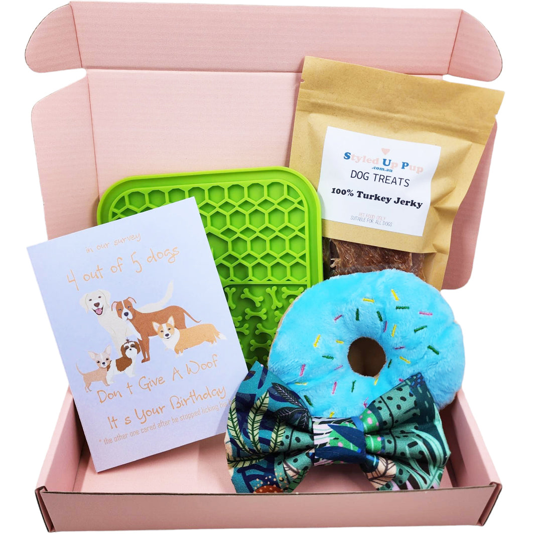 Dog Gift Box - Boy - handmade Gift Box from Styled Up Pup - Shop now at Styled Up Pup 