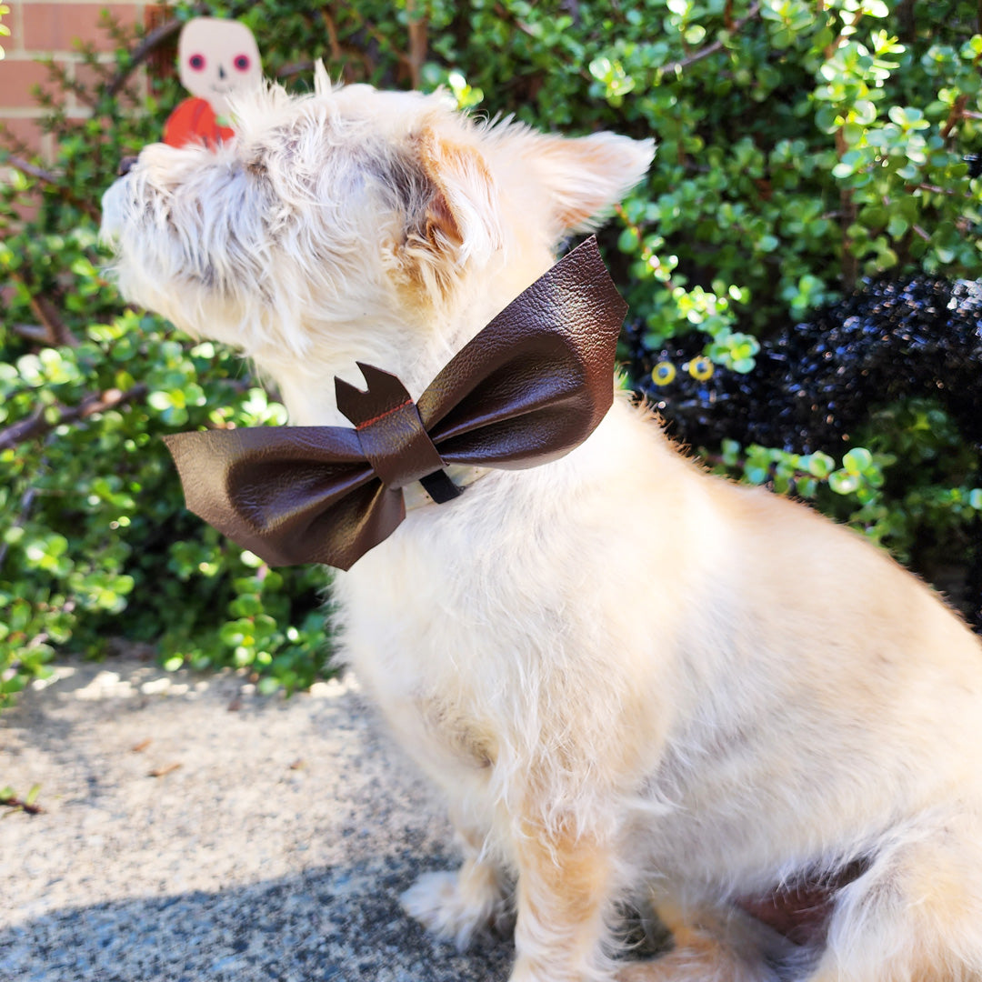 Howl-o-ween Battie Bat Bow Tie