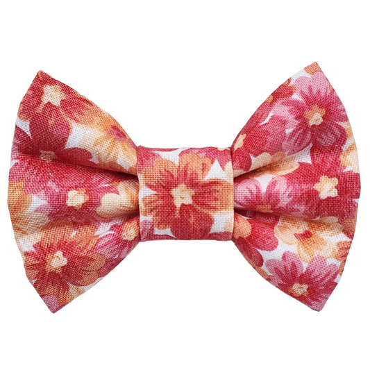 Meow Me Pink Cat Bow Tie - handmade Cat Bow Tie from Styled Up Pup - Shop now at Styled Up Pup 