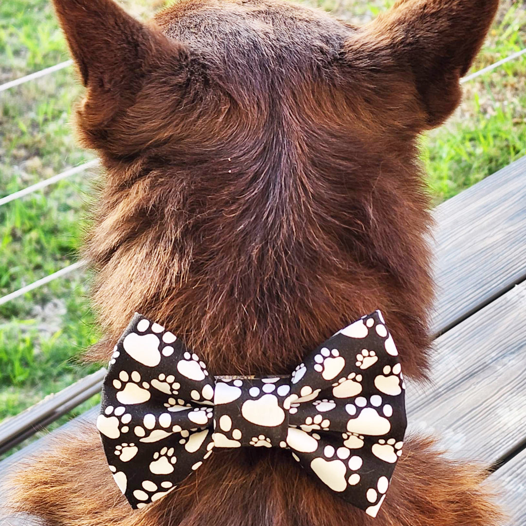 It's The Pawfect Dog Bow Tie - handmade Dog Bow Tie from Styled Up Pup - Shop now at Styled Up Pup 