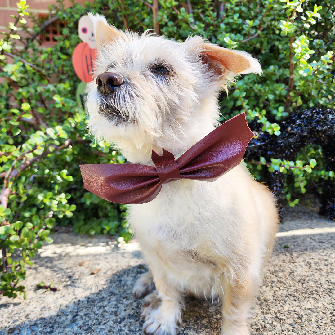 Howl-o-ween Battie Bat Bow Tie