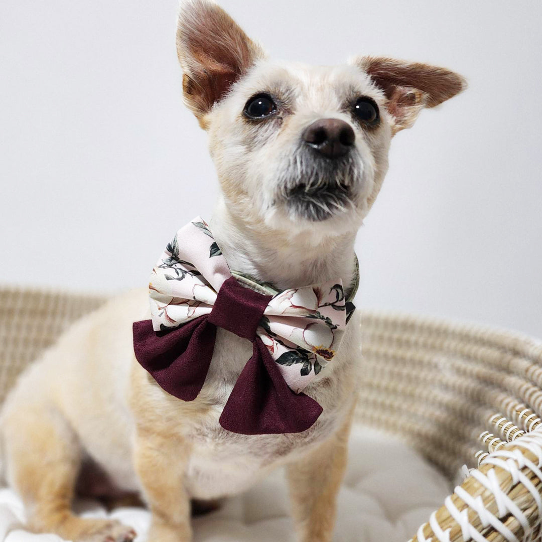 James Bond - #007 Dog Sailor Bow Tie - handmade Dog Bow Tie from Styled Up Pup - Shop now at Styled Up Pup 