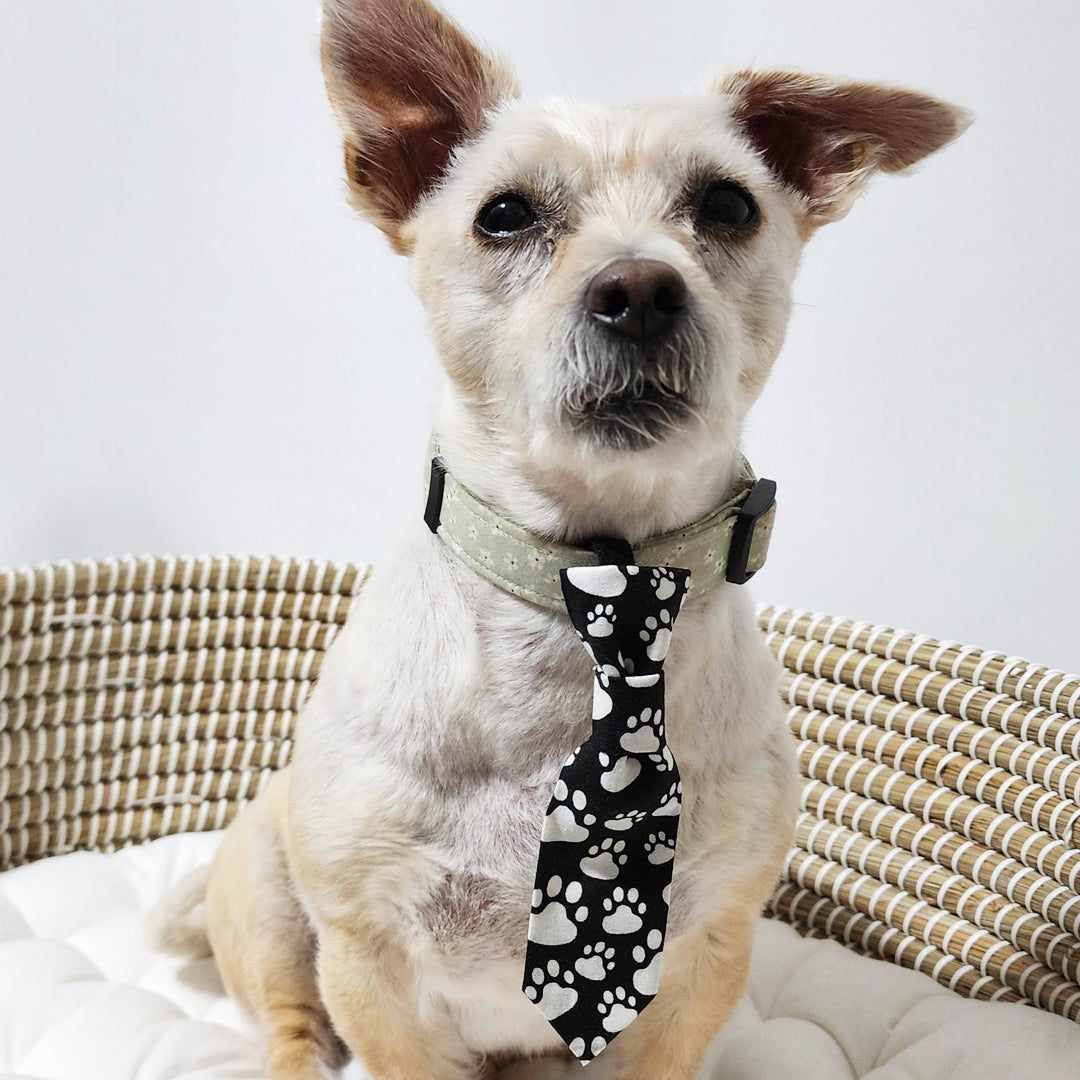 It's The Pawfect Dog Tie - handmade Dog Bow Tie from Styled Up Pup - Shop now at Styled Up Pup 