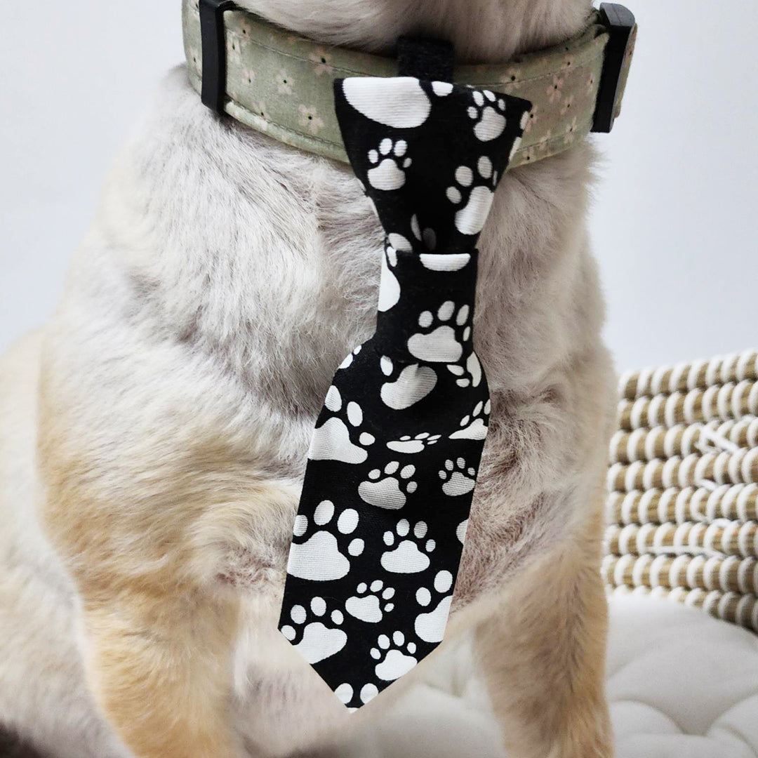 It's The Pawfect Dog Tie - handmade Dog Bow Tie from Styled Up Pup - Shop now at Styled Up Pup 