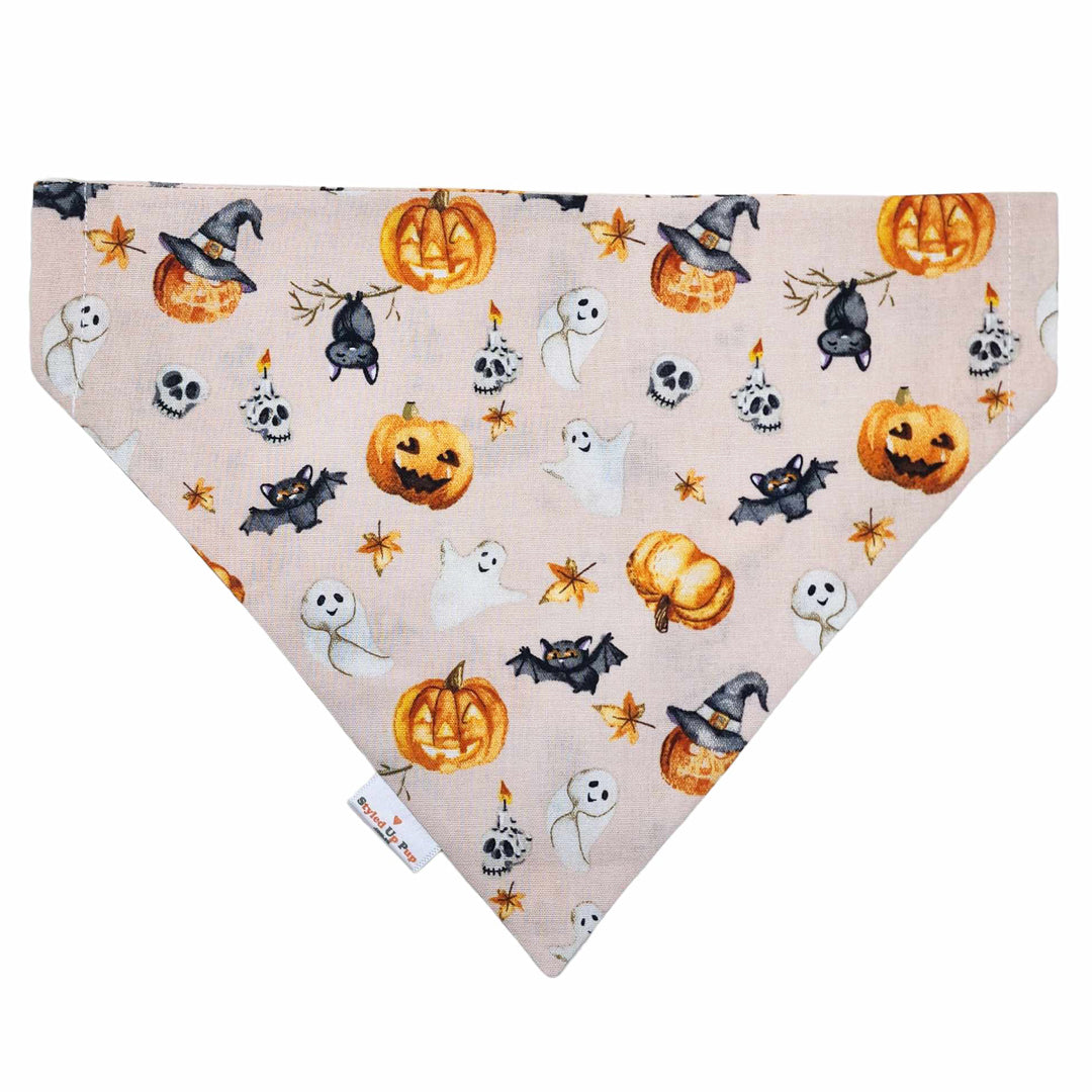 Spooky Halloween Dog Bandana (Over-The-Collar)