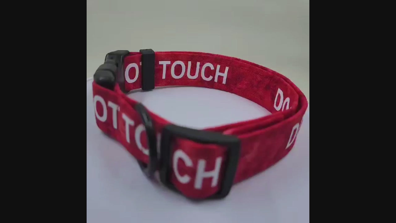 Traffic light dog outlet leads