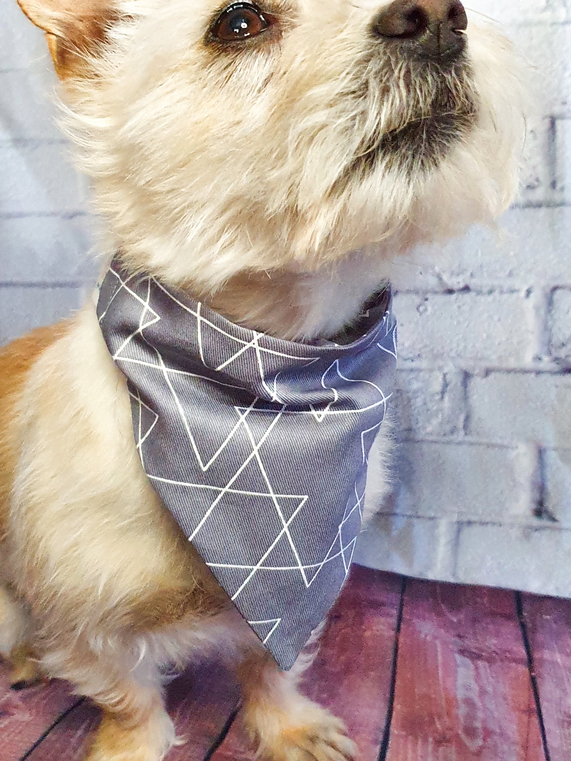 Arrows On Grey Over-The-Collar Dog Bandana - handmade Dog Bandana from Styled Up Pup - Shop now at Styled Up Pup 