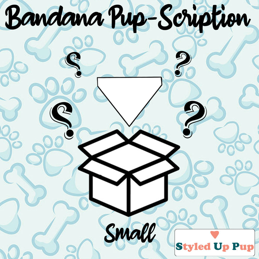 Dog bandana 2025 subscription box