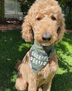 Daddy's Boy | Daddy's Girl Over-the-collar Camo Dog Bandana - handmade Dog Bandana from Styled Up Pup  - Shop now at Styled Up Pup 