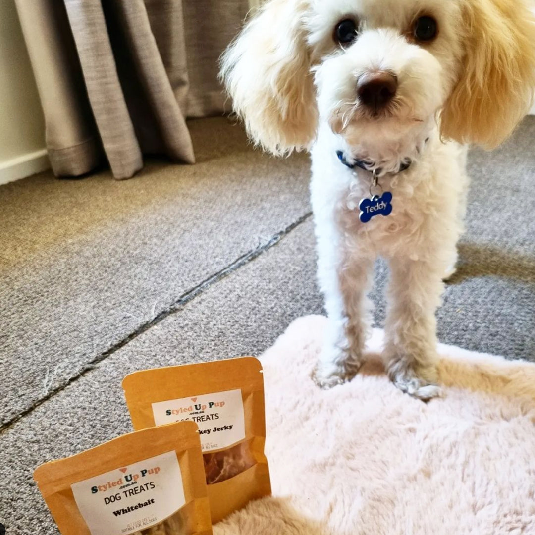 100% Whitebait Jerky Dog Treats - handmade Dog Treats from Styled Up Pup - Shop now at Styled Up Pup 