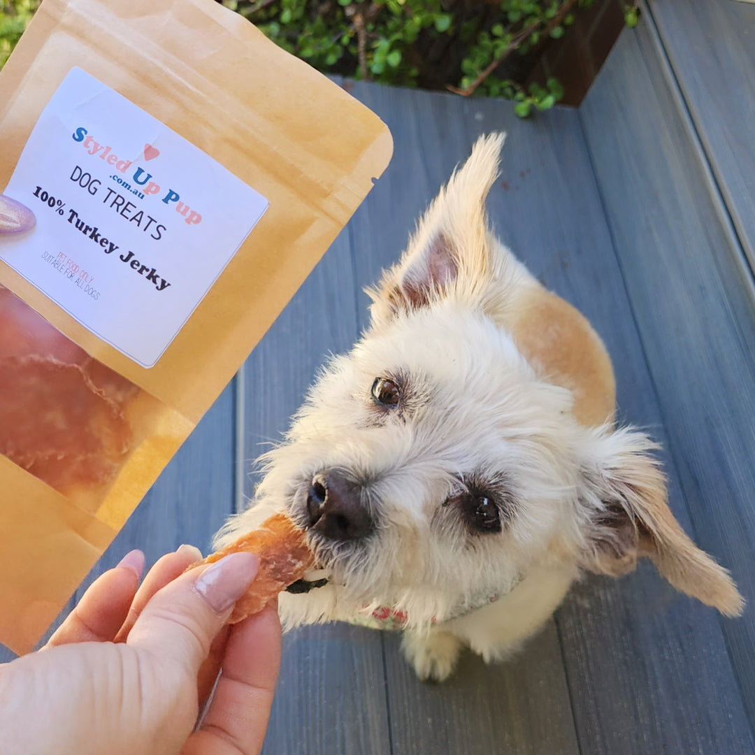 100% Turkey Jerky Dog Treats - handmade Dog Treats from Styled Up Pup - Shop now at Styled Up Pup 