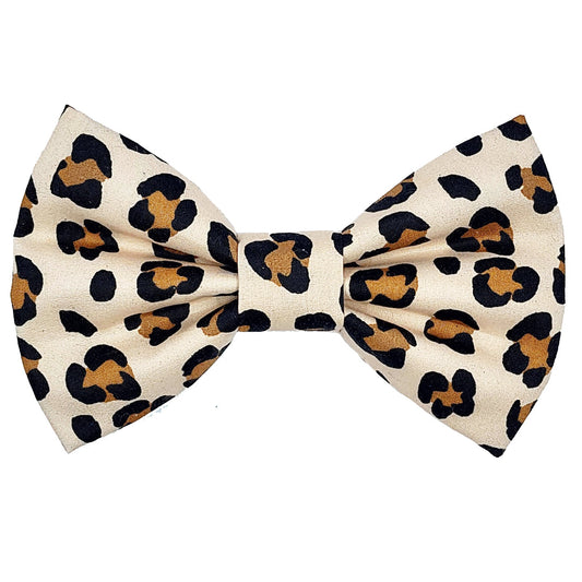 Wild One Dog Bow Tie - handmade Dog Bow Tie from Styled Up Pup - Shop now at Styled Up Pup 